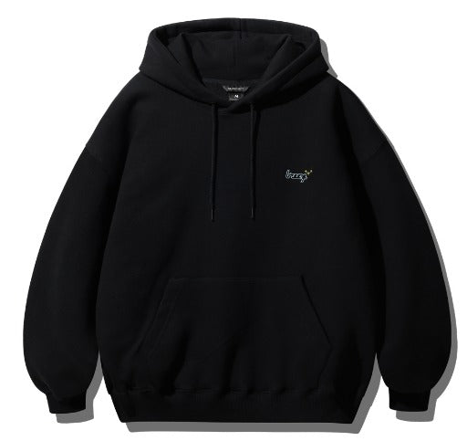 WV PROJECT HOODIE - MJHD7696