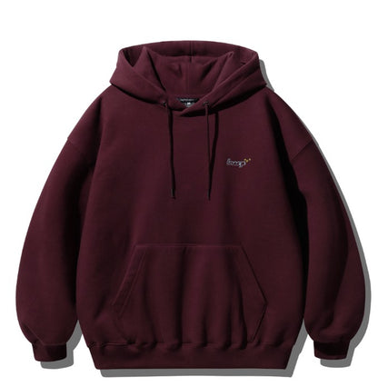 WV PROJECT HOODIE - MJHD7696